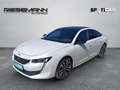Peugeot 508 Hybrid 225 PHEV e-EAT8 GT Aut. Weiß - thumbnail 1