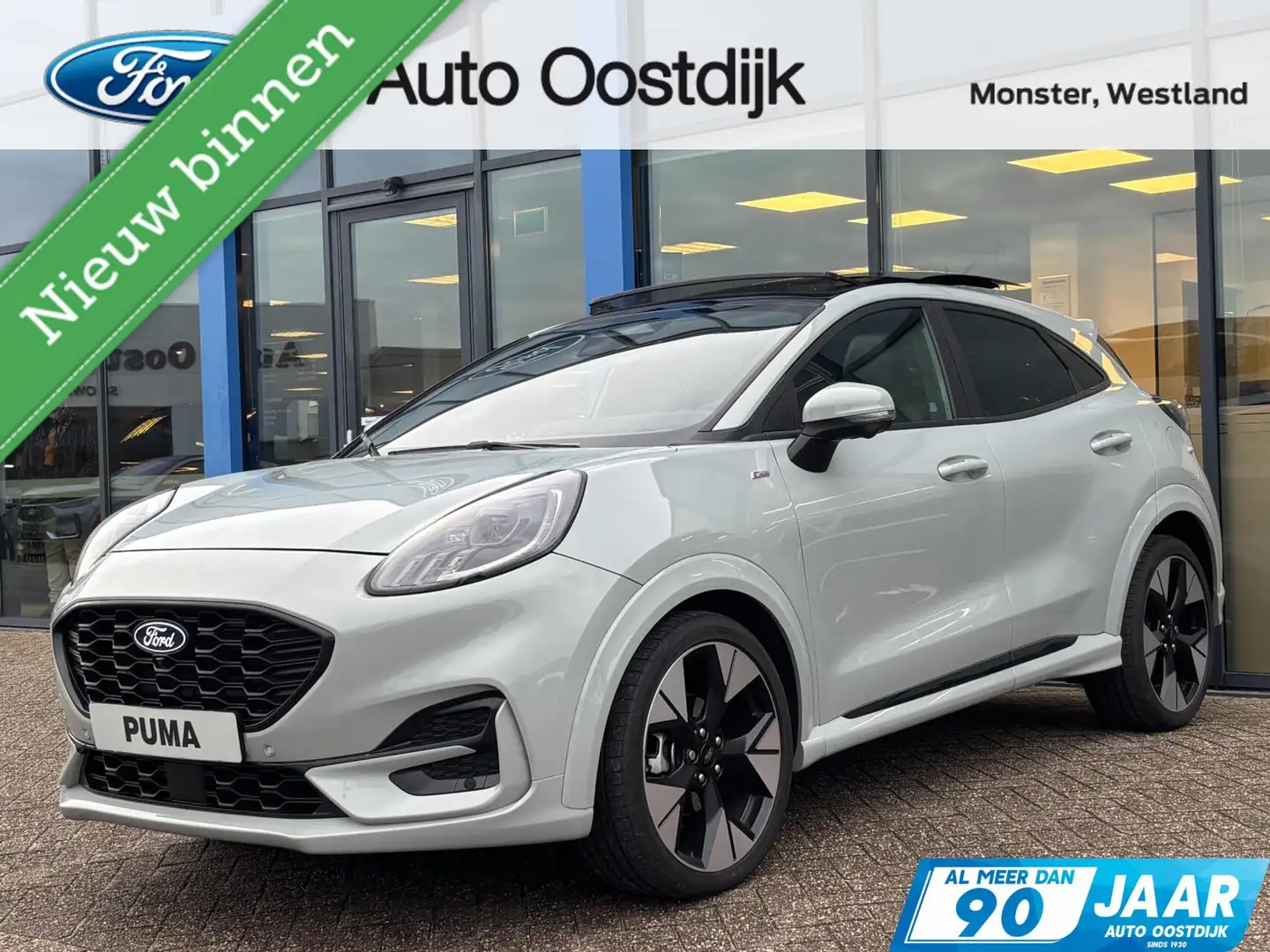 Ford Puma 1.0 EcoBoost Hybrid ST-Line X 155PK Automaat Afn. Grijs - 1