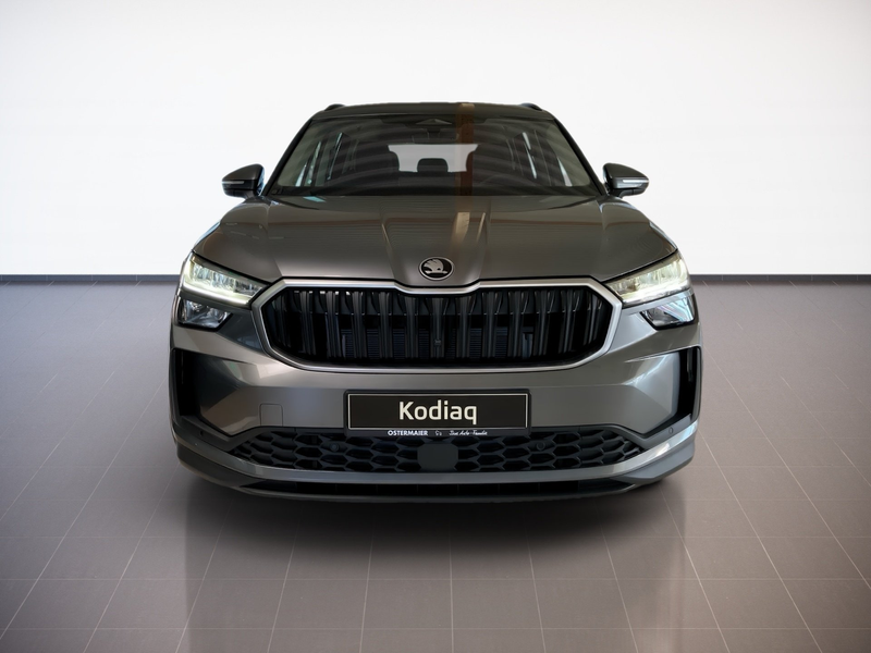 Skoda Kodiaq SELECTION 4X4 2.0TDI LED.NAV.DSG.AHK.AMBIENTE.WINT — photo 3
