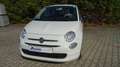 Fiat 500 CULT 1.0 Hybrid *Klima*ZV*Radio* Bianco - thumbnail 2