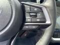 Subaru Crosstrek 2.0ie e-Boxer Platinum Lineatronic Grau - thumbnail 15