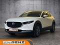 Mazda CX-30 AWD Weiß - thumbnail 1