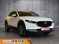 Mazda CX-30 AWD Weiß - thumbnail 3