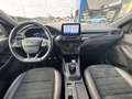 Ford Kuga St-Line X 1.5 EcoBoost (benzina) 150CV S&S Manuale Gris - thumbnail 12