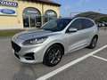 Ford Kuga St-Line X 1.5 EcoBoost (benzina) 150CV S&S Manuale Gris - thumbnail 1