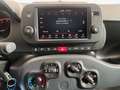 Fiat Panda 1.0 hybrid Cross * VARIE COLORAZIONI * Blu/Azzurro - thumbnail 9