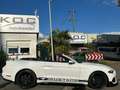 Ford Mustang GT 5.0 Optik Cabrio Weiß - thumbnail 7