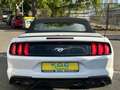 Ford Mustang GT 5.0 Optik Cabrio Weiß - thumbnail 5
