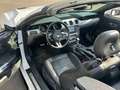Ford Mustang GT 5.0 Optik Cabrio Weiß - thumbnail 9