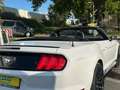 Ford Mustang GT 5.0 Optik Cabrio Weiß - thumbnail 8