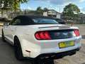 Ford Mustang GT 5.0 Optik Cabrio Weiß - thumbnail 4