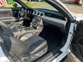 Ford Mustang GT 5.0 Optik Cabrio Weiß - thumbnail 13