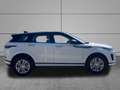Land Rover Range Rover Evoque 2.0D I4 MHEV S AWD Aut. 163 Blanco - thumbnail 3