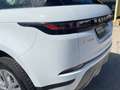 Land Rover Range Rover Evoque 2.0D I4 MHEV S AWD Aut. 163 Blanco - thumbnail 19