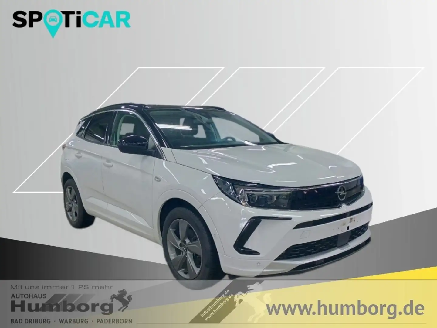 Opel Grandland Ultimate 1.2 Turbo Navi Leder 360 Kamera Klimasitz Wit - 1