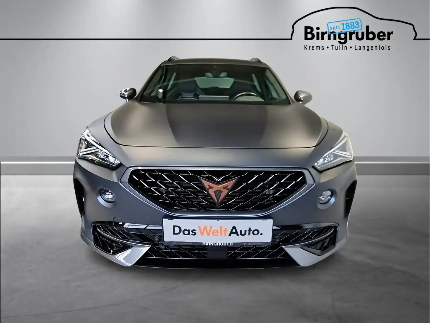 CUPRA Formentor VZ 2.0 TSI 310 PS DSG 4Drive Grau - 2