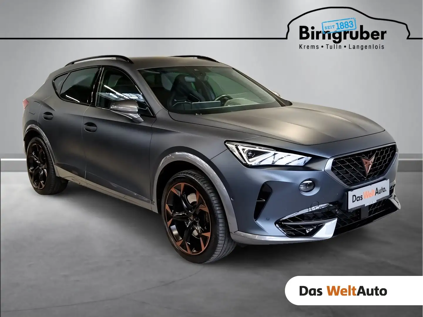 CUPRA Formentor VZ 2.0 TSI 310 PS DSG 4Drive Grau - 1