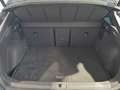 CUPRA Formentor VZ 2.0 TSI 310 PS DSG 4Drive Grau - thumbnail 13