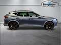 CUPRA Formentor VZ 2.0 TSI 310 PS DSG 4Drive Grau - thumbnail 3