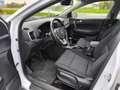 Kia Sportage Edition 7 2WD Weiß - thumbnail 12