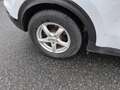 Kia Sportage Edition 7 2WD Weiß - thumbnail 6