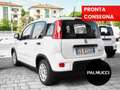 Fiat Panda Panda 1.0 firefly hybrid s - thumbnail 4