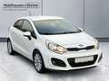 Kia Rio 1.2 FIFA World Cup Edition *PDC*SHZG*BT*KLIM Weiß - thumbnail 5