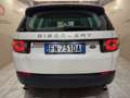 Land Rover Discovery Sport Discovery Sport 2.0 td4 SE awd 150cv my18 Blanc - thumbnail 14