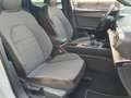 SEAT Leon 1.5 TSI S&S Xcellence 150 Blanco - thumbnail 29