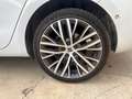 SEAT Leon 1.5 TSI S&S Xcellence 150 Blanco - thumbnail 40