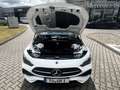 Mercedes-Benz CLE 300 CLE 300e AMG+NIGHT+BURMESTER+AHK+PANO+MEMORY+360 Blanc - thumbnail 10