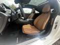 Mercedes-Benz CLE 300 CLE 300e AMG+NIGHT+BURMESTER+AHK+PANO+MEMORY+360 Blanc - thumbnail 14