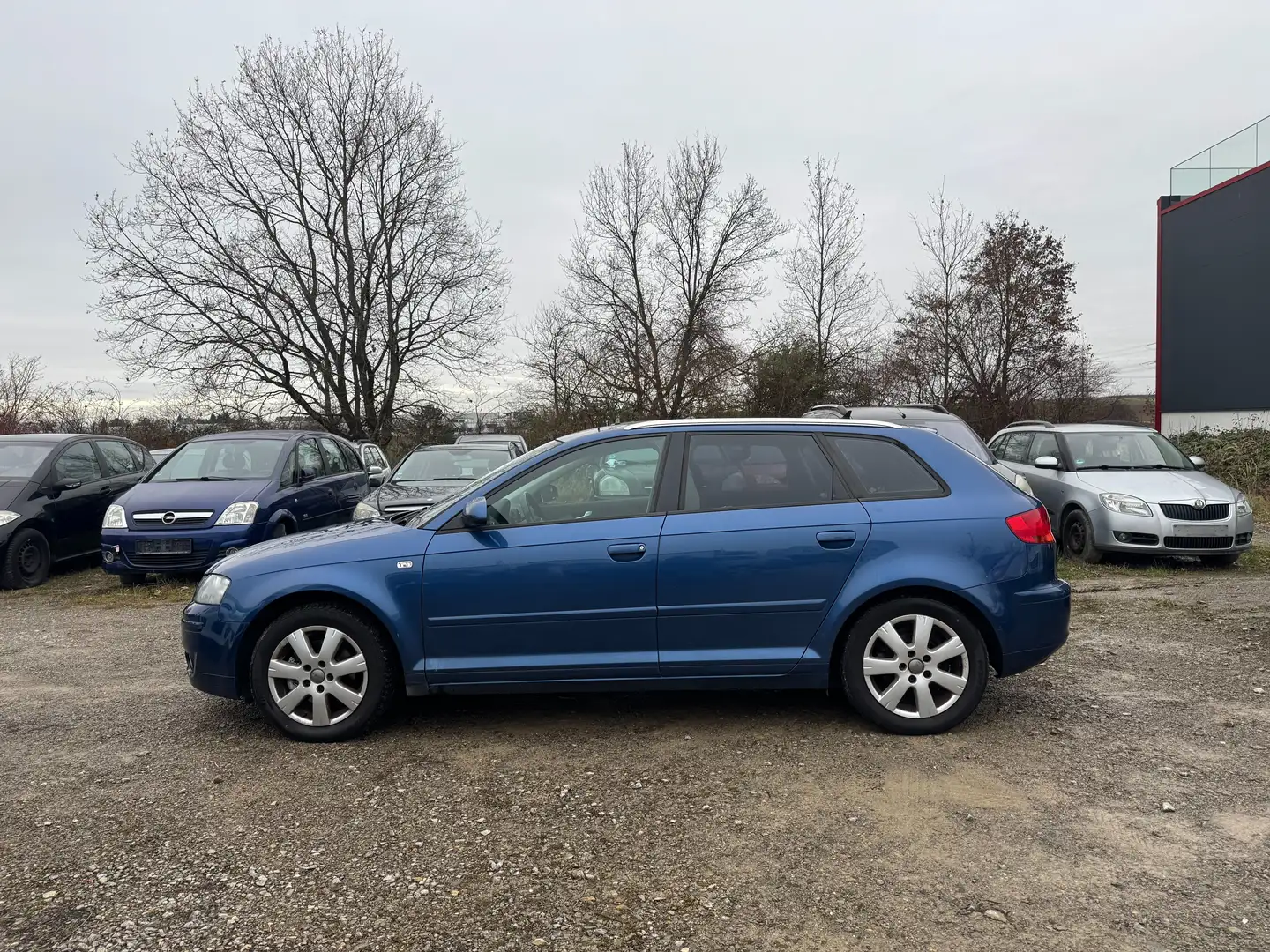 Audi A3 2.0 TDI Ambition (103kW) Blu/Azzurro - 2