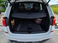 BMW X3 X3 xDrive20d Aut. White - thumbnail 18