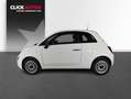 Fiat 500 1.0 Hybrid 70CV Monotrim Weiß - thumbnail 3