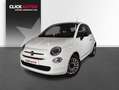 Fiat 500 1.0 Hybrid 70CV Monotrim Weiß - thumbnail 1