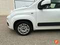 Fiat Panda 1.2 City Cross 4x2 Blanco - thumbnail 7