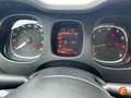 Fiat Panda 1.2 City Cross 4x2 Blanco - thumbnail 20