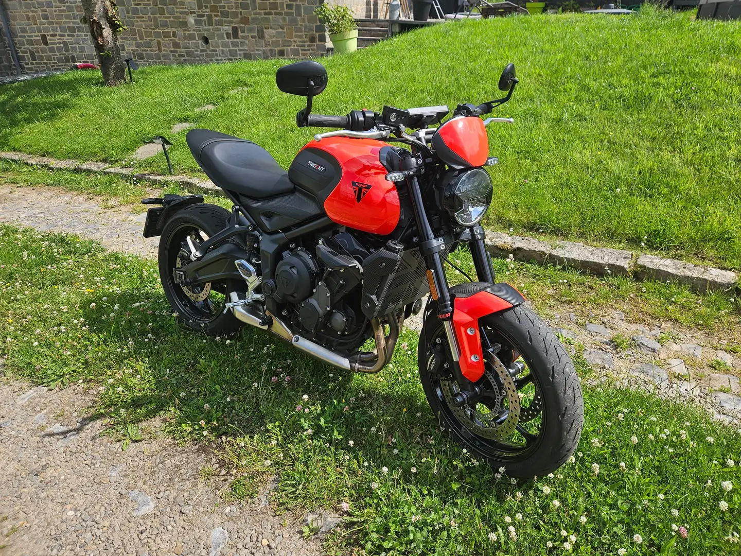 Triumph Trident 660 Orange - 1