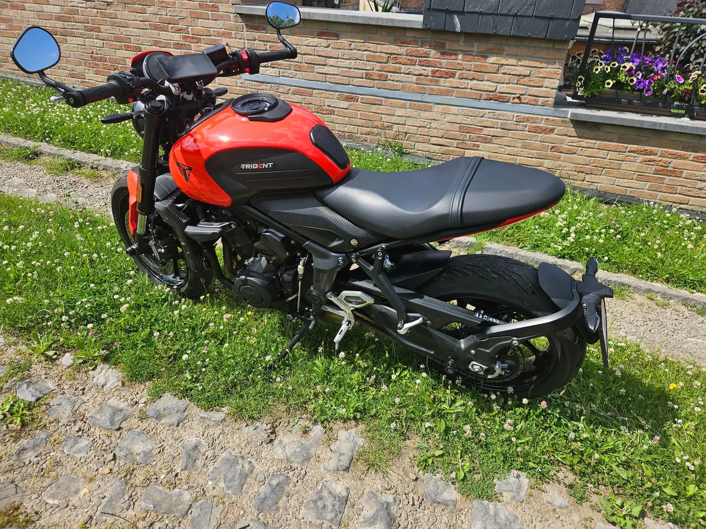 Triumph Trident 660 Orange - 2