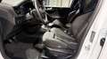 Ford Focus ST X TrackPack 5J-FGS B&O Kamera WinterPkt Blanc - thumbnail 22