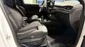 Ford Focus ST X TrackPack 5J-FGS B&O Kamera WinterPkt Blanc - thumbnail 11