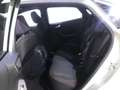 Ford Puma 1.0 EcoBoost Hybrid Aut. ST-LINE 360 Kamera Gris - thumbnail 12