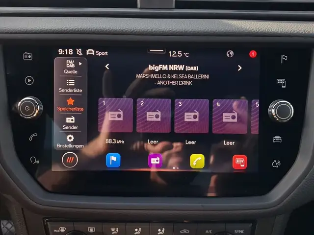 Seat Ibiza view 13