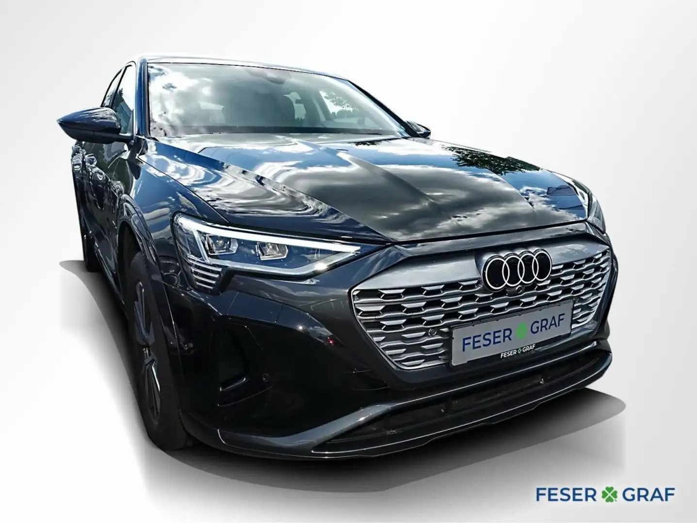 Audi Q8 e-tron Advanced LED Matrix Navi Luftfed. V-Co Schwarz - 2