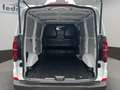 Volkswagen T7 Caravelle Kasten 2.0 TDI Klima Tempomat PDC Weiß - thumbnail 19