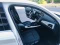 BMW 116 116d 5p 1.5 Attiva 116cv dpf euroBgaranzia 12 mesi Weiß - thumbnail 13