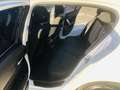 BMW 116 116d 5p 1.5 Attiva 116cv dpf euroBgaranzia 12 mesi Weiß - thumbnail 8