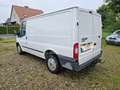 Ford Transit FT 260 K LKW Bianco - thumbnail 7