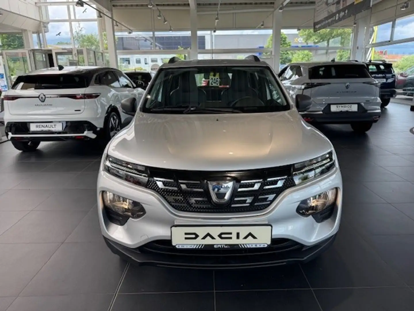 Dacia Spring Business Gris - 2